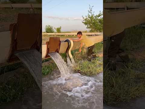 Practical Method of Drawing Water from the Canal