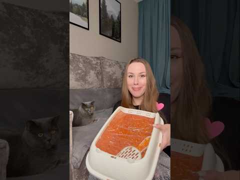 Кошачий лоток с косметикой KICA 😸 Такое мы ещё не обозревали!!