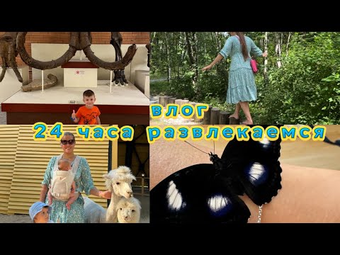 Купили ферму бабочек🦋Альпака парк🦙Босоногая тропа👌🏼24 часа развлекаем Сашу