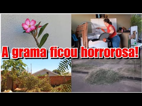 FOI MINHA MAIOR DECEPÇÃO + FOMOS CORTAR A GRAMA e DEU RUIM! Vlog ❤️