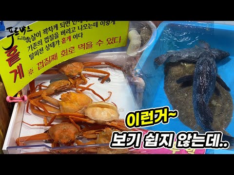 "요즘 나오는 강원도 제철 수산물... 눈탱이 안맞는 방법! 😱🦐"