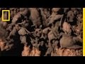 Bats: Facts and Misconceptions