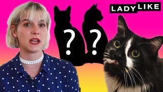 We Reunited Cat Brothers • Ladylike