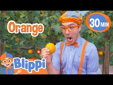 Blippi's Vroom Vroom Vehicle Adventure | Blippi 30 MIN | Moonbug Kids - Fun Stories and Colors