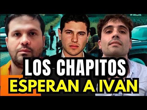 Archivaldo al Borde del Colapso y Ovidio Hace la Jugada Maestra para Salir Libre