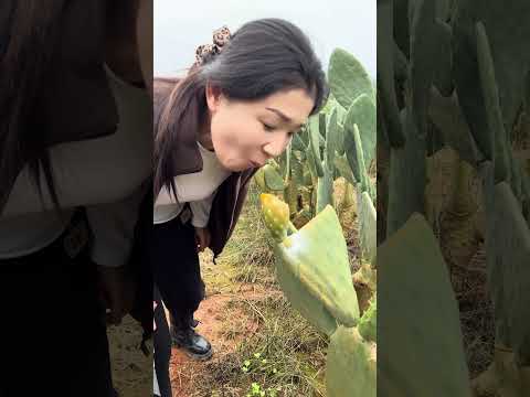 The fruit is too small, so I even pick up the peel! #CactusFruit #satisfying