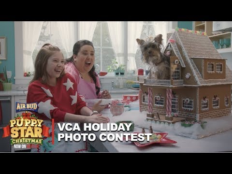 Puppy Star Christmas & VCA's Holiday Photo Contest