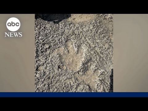 YouTube video thumbnail: Dinosaur Footprints From 115 Million Years ago Found After Texas Flood