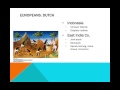European Trade and Colonization Strategies