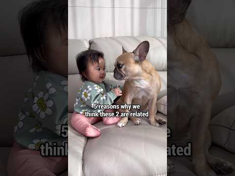 Are Dog Baby Related? **Click Link Above To Watch Full Video