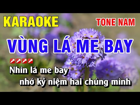 Karaoke Vùng Lá Me Bay Tone Nam Nhạc Sống Phối Mới | Nguyễn Linh