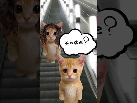 Как работают феромоны? Кисы объясняют 😻