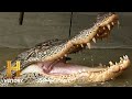 Fishing Techniques and Full Moon Effects
