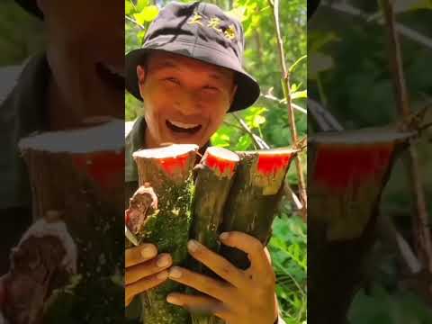 चन्दन की खेती कोई क्यों नही करना चाहता #Sandalwood #Farming #shorts