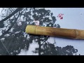 Sunlight Exposure and Sky Mapping