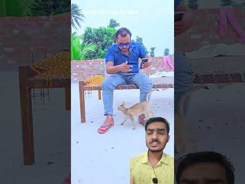 bacchi ko billi bna diya #shortsfeed #haryanvisong #punjabisong #song #newsong #love #funny #trendi