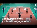 Comprensión de las Zonas, Posiciones y Roles en el Voleibol
