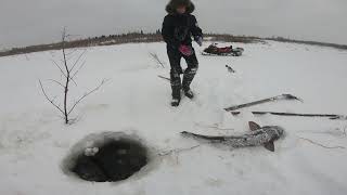 видео