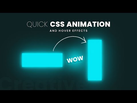 CSS Animation and Hover Effects | Html CSS Tutorial