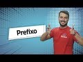 Prefixes and Their Functions in Language