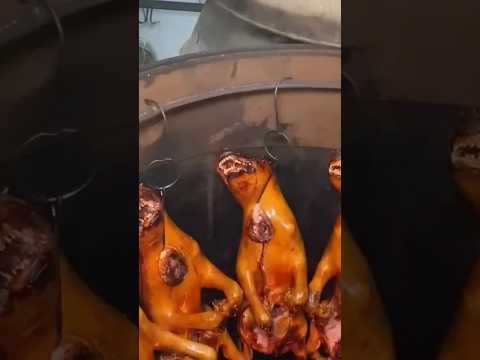 Dog Met Khane Wale 5 Desh #shorts #ytshorts #viralvideo