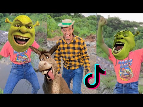 PAPÁ ENOJO a SHREK 😱 Los VIDEOS más EDUCATIVOS del MUNDO 🐧