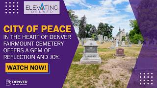 City of Peace - Elevating Denver