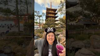 Drinking Around the World as a Lightweight 2026 Edition 🥳🍹