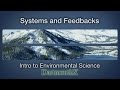 Feedback Loops and System Characteristics