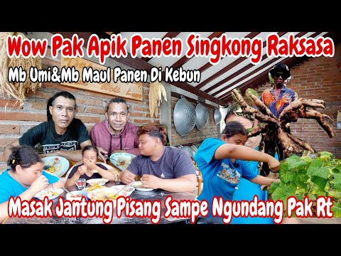 WOW PAK APIK PANEN SINGKONG RAKSASA‼️MBA UMI PANEN PARE || MASAK JANTUNG PISANG UNDANG PAK RT MALAM"