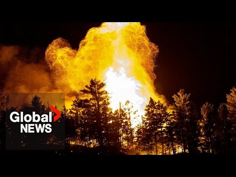 YouTube video thumbnail: Does Herbicide use Contribute to Unprecedented Wildfire Season?