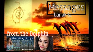 Messages From The Dolphin - Lanakila