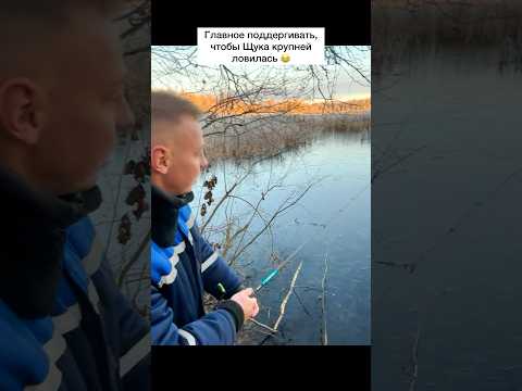 Как вам такое?) #рыбалка #рыбак #поплавок #рыба #улов #сом #карп #карась #плотва #щука #судак #окунь