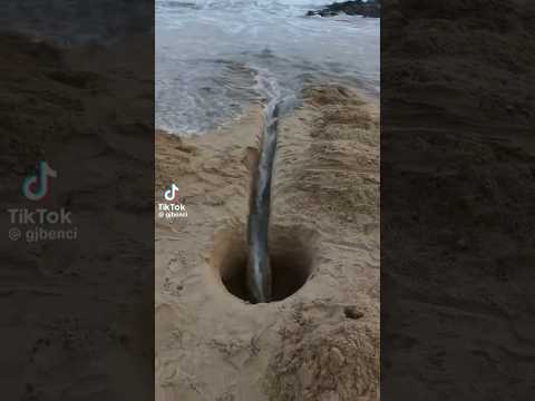 Когда делать нечего!🌊🌈🌅🙋🏻‍♂️ #muhammedtalhatok #muhammedtalha  #мем #собака #top #ff #trending