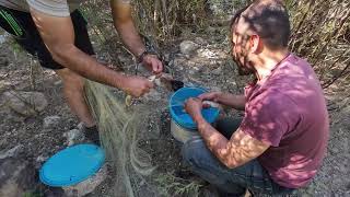 serpmeyle balıktaydık masigir şiva