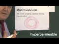 Vascular Health and Diabetes Concepts
