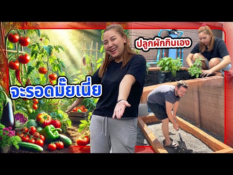 VLOG | สะใภ้ตุรกีกลับไทยปลูกผักกินเอง