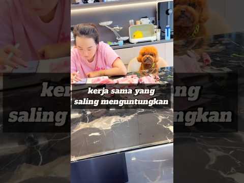 kerjasama yang bagus, #momen#funny