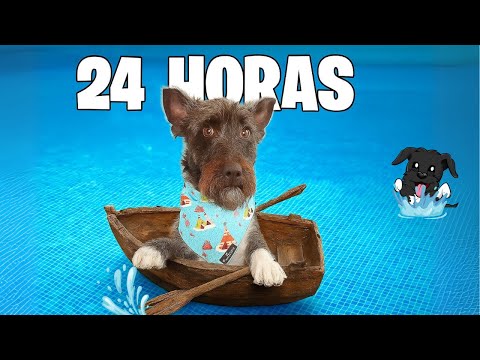 🏝️ Lana pasa 24h en la PISCINA 😱¡RETO EXTREMO!