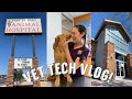 Veterinary Clinic Procedures and Practices