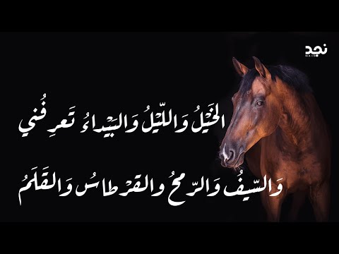 أروع وأجمل قصائد أبو الطيب المتنبي واحر قلباه | الخَيْلُ وَاللّيْلُ وَالبَيْداءُ تَعرِفُني