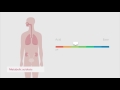 Acid-Base Disturbances in Physiology