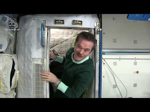How Do You Sleep In Space?