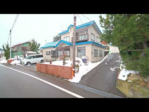 Snowy flight, walk and BBQ train ride in Aomori, Japan 2025 • 4K