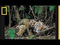 Exploration and Photography Insights