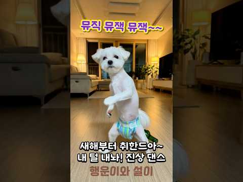 뮤직뮤직 챌린지 #소주