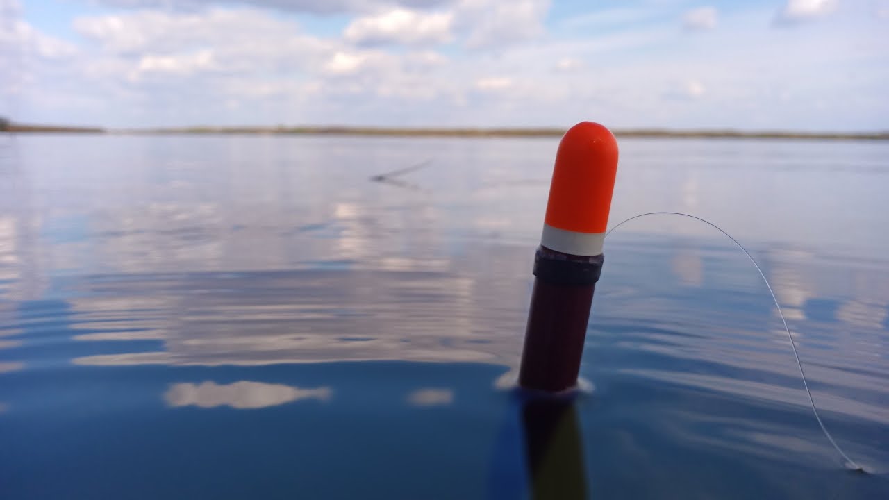 Ловим с батей крупных карасей на поплавок!