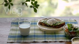 sub)자라홈 그릇쇼핑 하울, 이구홈성수, 샌드위치 처돌이의 2가지 샌드위치, 여름 일상 브이로그