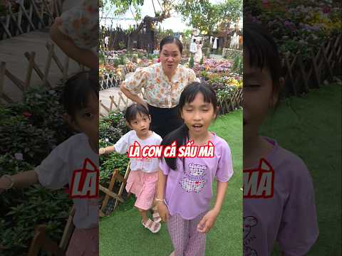 Là con cá sấu mà
