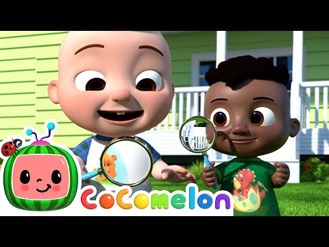 We Spy With Our Little Eyes | It's Cody Time 🍉 | CoComelon Songs for Kids & Nursery Rhymes
